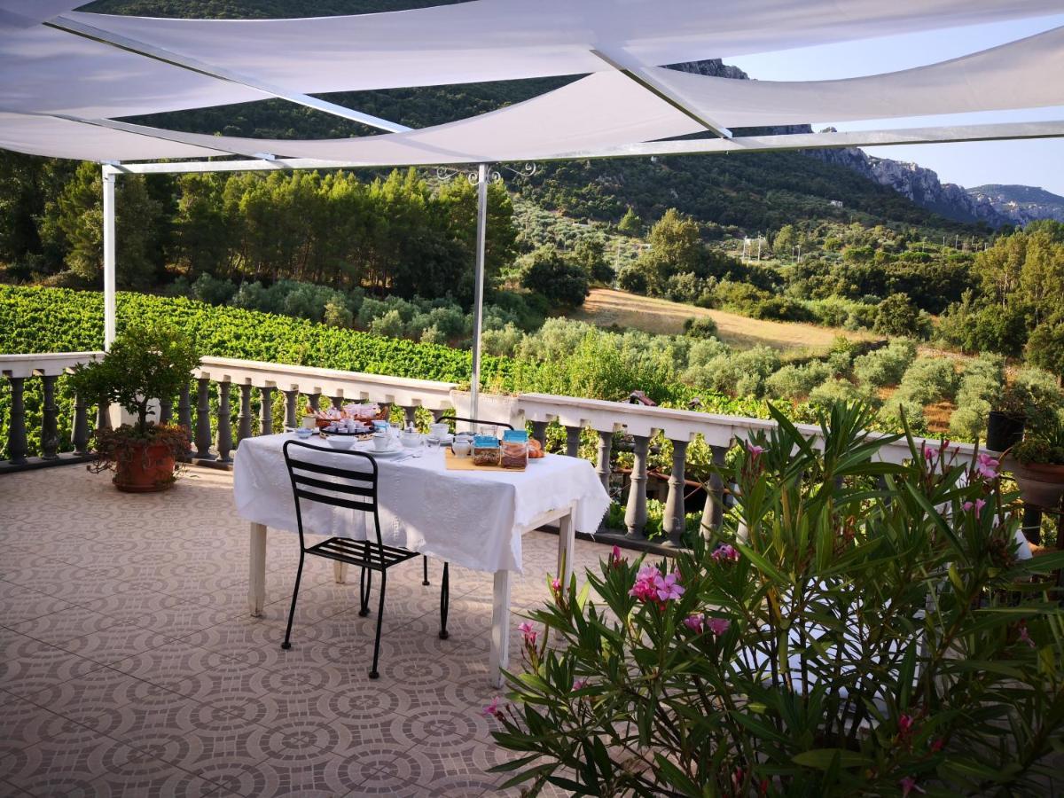 Villa Maria Dorgali Exterior foto