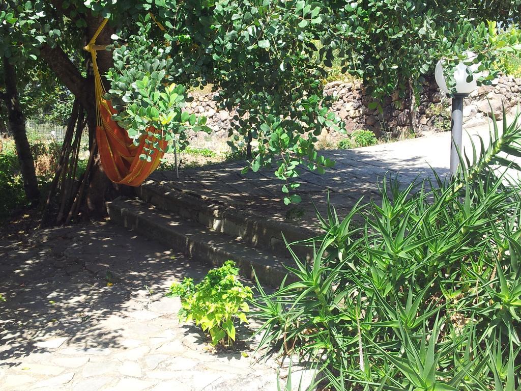 Villa Maria Dorgali Habitación foto