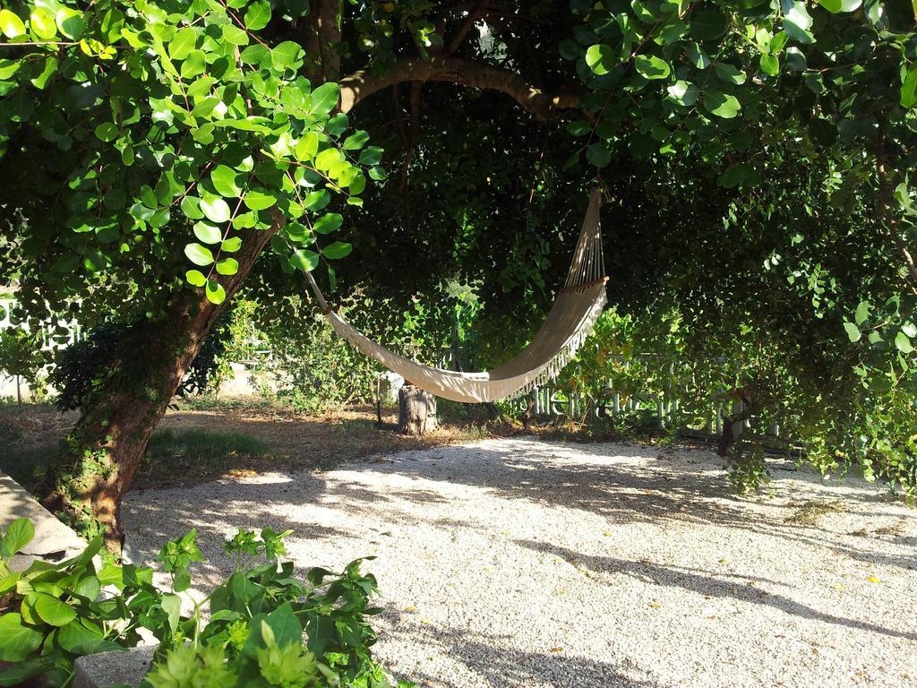 Villa Maria Dorgali Habitación foto